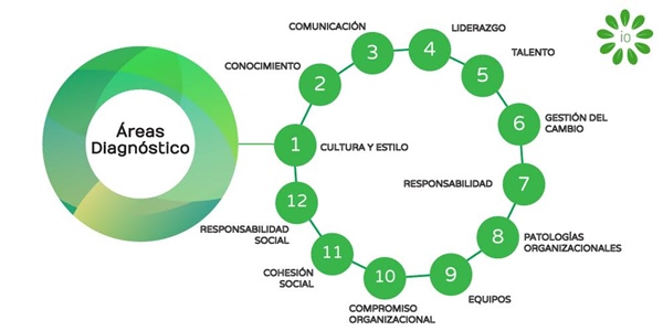 Los elementos intangibles e imprescindibles en cualquier organizacin