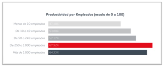 Niveles productividad empresa