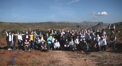 Sanitas reforesta ms de 4 hectreas de especies arbreas en diversos puntos de Espaa