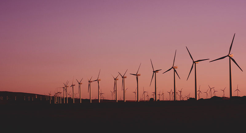 Molinos de viento